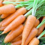 Морковь гибридная -  