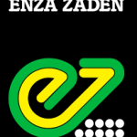 Enza Zaden  -  